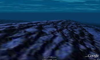 download real time oceanlife google earth