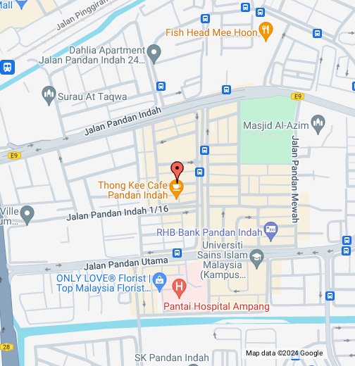 Skynet Worldwide M Sdn Bhd Google My Maps