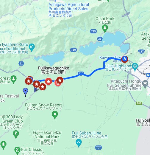 aokigahara forest map