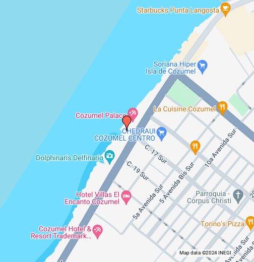 Cozumel Palace, Cozumel; Go Blue Tours - Google My Maps