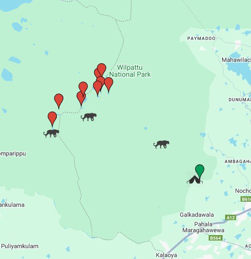 wilpaththu national park map