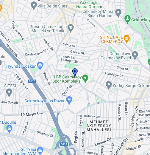 REDE CREDENCIADA OI PET - Google My Maps