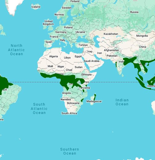 Global Distribution of Tropical Rainforests - Google My Maps